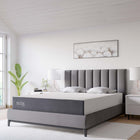 Modway - Mila 10 po Matelas Queen-Mousse mémoire de 0,75 po