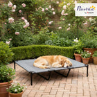 PawHut - Lit pour chien surélevé taille XL - 48 po L x 36 po l x 9 po H - gris clair-Structure en métal avec revêtement en poudre offrant une grande stabilité et une excellente capacité de charge 