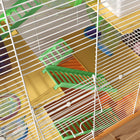 PawHut - Cage à Hamster 5 Niveaux - Orange-Plusieurs plateformes surélevées avec échelle pour monter et descendre facilement