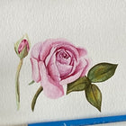 Canson XL Series Aquarelle - 9" x 12" - 30 Feuilles-9" x 12"