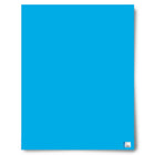 Royal Brites Carton pour Affiche Poids Lourd - 22 po x 28 po - Bleu clair-Surface lisse compatible avec peintures, marqueurs et adhésifs  