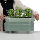 Permasteel - Jardinière à arrosage automatique avec supports de fixation - vert-Bouchon de drainage