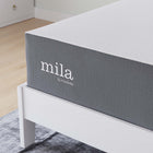 Modway - Mila 12 po Matelas complet-Déroule et décompresse en 36 heures ou moins