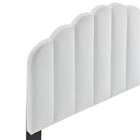 Modway - Veronique Performance Velvet Tête de lit complète/Queen, Blanc-Rembourrage en mousse dense