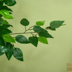 HOMCOM - Arbre artificiel ficus 5 pi pour décoration intérieure - vert-Type : Ficus 