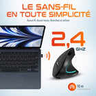 Delton - Souris d'ordinateur ergonomique sans fil rechargeable S12, pour droitiers, noire-Fonction de recharge rapide : une heure suffit pour recharger complètement l'appareil, ce qui réduit au minimum les temps d'arrêt.