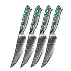 Minimal - Ensemble de couteaux à steak Damascus TransShell de 4 pièces, service pour 4 personnes-Acier Damas forgé 67 couches avec noyau en acier VG10
