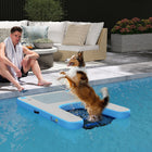 PawHut - Rampe d’eau pour chien - rampe flottante pour animaux nageurs jusqu’à 300 lb-Connecteurs solides adaptés aux lacs, piscines, bateaux et quais 