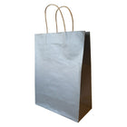 Wamaco - Sacs de magasinage Kraft couleur, 10 x 5 x 13,5 (po), argent, paquet de 100-Sacs de magasinage Kraft couleur
