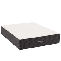 Modway - Aveline 14 po Mousse à mémoire de forme Matelas Queen-Mousse à mémoire de forme infusée au gel rafraîchissant de 5 po