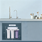 iSpring - US31 système de filtration d'eau sous l'évier à 3 étapes - sédiments, GAC et charbon-Fournisseur d'eau fraîche et saine: Le débit rapide à la demande de l'iSpring US31 lui permet de répondre au plus large éventail de besoins dans votre maison. Jusqu'à 20 fois plus efficace qu'une carafe filtrante ordinaire. Débit: jusqu'à 3,8 L/min selon la pression de l'eau d'entrée. Pression maximale: 6,2 bars. Il lave les produits frais comme les fruits et légumes, apporte une protection santé, et peut fournir 