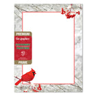 Geographics - Papeterie à Bordure Cardinal Feuille Rouge, 8,5 po l x 11 po H , 40 Pqt-Compatible avec les imprimantes jet d'encre 