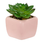 Pep Rally - Mini fausse plante - rose-Plante synthétique réaliste pour une apparence naturelle sans entretien