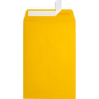 Jam Paper - Enveloppes ouvertes 80 lb – 6 po H x 9 po l, Jaune tournesol – Paquet de 50-Enveloppes ouvertes : Ces enveloppes pour catalogue ouvertes de 15 cm x 23 cm sont la version verticale de nos populaires enveloppes pour livrets. Utilisez-les pour envoyer des lettres commerciales, des documents confidentiels, de grandes photos, des dossiers et bien plus encore. Le rabat rectangulaire, situé sur le côté court, permet de bien organiser le contenu et d'éviter qu'il ne tombe après ouverture