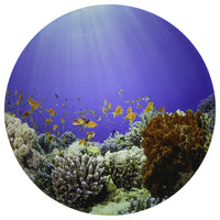 TickiT - Tapis de jeu Découverte sous-marine-Stimulation Visuelle Fascinante - Ce tapis de jeu présente une image détaillée d'un paysage de fond océanique. Offrez aux enfants un arrière-plan coloré et stimulant pour un jeu ouvert