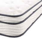 Modway - Jenna 8 po Ressorts et mousse Matelas simple étroit-Garantie limitée d'un an du fabricant