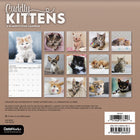 DateWorks - 2026 Mini Calendrier Mural 16 Mois - 7 po x 7 po - Chatons Câlins - Anglais -13 images de haute qualité imprimées sur du papier Premium