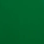 JAM PAPER - Papier cadeau brillant - 43 x 46 cm - Vert brillant - Paquet de 2-Ce papier cadeau est idéal pour ajouter une touche de couleur à tous vos présents. Parfait pour les anniversaires, les fêtes, les anniversaires de mariage, les mariages, les événements et toutes vos autres occasions spéciales.