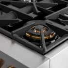 Kucht - 48 po Série KXP Cuisinière double énergie Propane - Acier inoxydable/Or-Égalant la puissance des cuisines professionnelles, ce modèle haut de gamme comprend deux fours séparés : un four de convection de 30 po avec deux éléments de cuisson de 3000 W (base) et 850 W (haut), un gril de 3500 W (haut), et un four de 18 po muni d’un élément de cuisson de 2500 W (base) — assez d’espace pour préparer un véritable festin, avec de la place en surplus