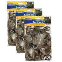 Creativity Street Plumes naturelles - Couleurs naturelles assorties - Tailles assorties - 1/2 oz, Paquet de 3-0,5 oz par paquet, vendu sous forme de 3 paquets, 1,5 oz. de plumes au total