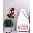 PureGuardian - Humidificateur et Lampe de Sel-Technologie ultrasonique : Le H1117W est doté d'un réservoir de 1,2 litre et diffuse une brume apaisante dans l'air. Ultra-silencieux, il est idéal pour une utilisation pendant le sommeil