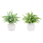 Monarch Specialties - 9368 Herbe D'Eucalyptus Artificiel 16" de Haut - Pots Blancs - Ensemble de 2-Cet ensemble de 2 plantes artificielles présente de l'herbe d'eucalyptus de 16" de hauteur, conçue pour apporter de la verticalité et une touche de verdure à toute table ou surface
