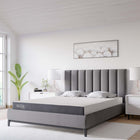Modway - Mila 6 po Matelas Queen-Mousse réactive de 5,25 po