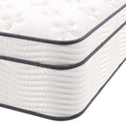Modway - Jenna 14 po Ressorts et mousse Matelas complet-Garantie limitée d'un an du fabricant