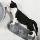 PawHut - Meubles muraux pour chat 4 pièces avec condo - gris-Matériaux : Panneau de particules, Peluche, Sisal 