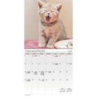 DateWorks - 2026 Mini Calendrier Mural 16 Mois - 7 po x 7 po - Chatons Câlins - Bilingue -Animaux