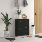 HOMCOM - Armoire à chaussures de couloir avec 2 tiroirs rabattables pour 12 paires - noir-Son design compact le rend idéal pour les petites entrées ou tout espace étroit 
