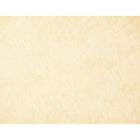 Geographics - Papier parchemin - 8.5 po l x 11 po H - Paquet de 50-Compatible avec les imprimantes à jet d'encre et laser