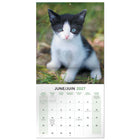 Mead - Calendrier décoratif Chatons 2027, 12 po x 12 po, bilingue-La présentation bilingue convient aux environnements anglais et français