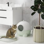 PawHut - Grande litière pour chat, fermée avec couvercle - vert-Pelle attachée sur le côté pour un design plus propre 