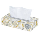 Kleenex - Mouchoirs Professional - 2 épaisseurs - Boîtes de mouchoirs plates pour les entreprises - Blancs - Paquet de 48-2 épaisseurs