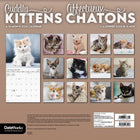 DateWorks - 2026 Calendrier Mural 16 Mois - 12 po x 12 po - Chatons Câlins - Bilingue -13 images de haute qualité imprimées sur du papier Premium