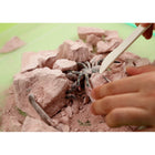 4M - KidzLabs Kit d’excavation d’insectes - Age 5+-5