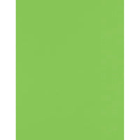 Jam Paper, 100 lb Carton, 8,5 po l x 11 po H, Vert lime, 50 Paquet-Papier cartonné pour des créations amusantes : Si vous aimez le scrapbooking, la création de cartes ou d'autres loisirs créatifs, vous adorerez notre papier cartonné de haute qualité de 215,9 mm x 279,4 mm (8,5 po x 11 po). Il est suffisamment résistant pour supporter les encres, les autocollants, les décorations et bien plus encore. Que vous immortalisiez vos vacances en famille ou que vous réalisiez un joli cadeau fait main, vous adorerez 