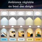 Impotek - Luminaire encastré orientable DEL 4 po 9W 5CCT gradable – Paquet de 6-Sécurité certifiée et compatibilité - Profitez de la tranquillité d’esprit avec nos certifications IC, ETL et Energy Star. Conçu pour un contact direct avec l’isolation, notre boîte de jonction protégée thermiquement garantit la sécurité et une large compatibilité avec divers types de plafonds et configurations de solives