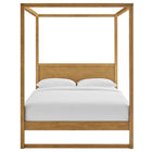 Modway - Alva Reine Bois Lit de plateforme de la canopée, Chêne-Capacité de poids : 800 lb.