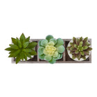 Monarch Specialties - 9373 Succulente Artificielle 6" de Haut - Pots Beiges - Ensemble de 3-Chaque plante artificielle, mesurant 6" de hauteur, est placée dans un pot beige texturé et disposée dans un plateau en bois clair avec compartiments séparés, offrant un aspect équilibré et structuré