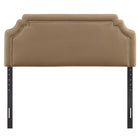 Modway - Magnolia Taille Velvet Performance Résistant aux Taches Tête de lit Queen size - Taupe-Positions de montage ajustables