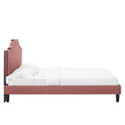 Modway - Adelaide Performance Velvet Lit de plateforme King, Rose poussiéreuse-Pieds en bois noir avec capuchons sans marque