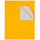 JAM Paper - Étiquettes postales, 4 x 5 po, orange fluo, 2 paquets de 120 (354329159G)-Quantité : 120 étiquettes au total, 4 étiquettes par page, 30 pages au total