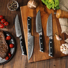 Minimal - Ensemble de couteaux à steak Damascus Black G10 de 4 pièces, service pour 4 personnes-Longueur totale : 230 mm avec longueur de lame : 120 mm
