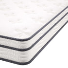 Modway - Jenna 6 po Ressorts et mousse Matelas Queen-9