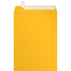 Jam Paper - Enveloppes ouvertes 80 lb – 9 po H x 12 po l, Jaune tournesol – Paquet de 50-Enveloppe ouverte : Ces enveloppes pour catalogue ouvertes de 23 x 30 cm présentent un format vertical pratique. Utilisez-les pour envoyer des lettres commerciales, des documents confidentiels, de grandes photos, des dossiers et bien plus encore. Le rabat rectangulaire, situé sur le côté court, permet de bien organiser les documents et d'éviter qu'ils ne tombent après ouverture