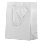 JAM Paper Sacs-cadeaux lustrés, format moyen, 8 x 4 x 10 po, blanc, 6/paquet (672GLwha)-6/paquet
