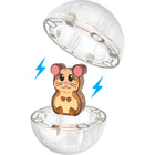 Magna-Tiles - Ensemble de construction magnétique Boule pour hamster 13 pièces-Toujours compatibles: Toutes les pièces sont compatibles et complémentaires à tous les autres ensembles MAGNA-TILES, y compris tous les ensembles MAGNA-TILES classiques