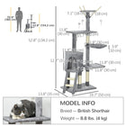 PawHut - Arbre à chat 53 po avec condo, grand centre d’activités pour chaton - gris-Comprend 4 jouets souris suspendus, sûrs de susciter l'intérêt de votre chat 